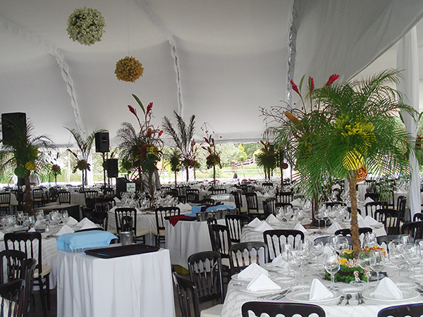 Carpas y Lonas San Ángel